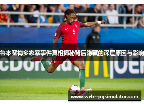 鲁本塞梅多家暴事件真相揭秘背后隐藏的深层原因与影响